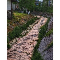 path in the countryside