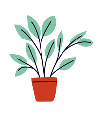 nice plant illustration