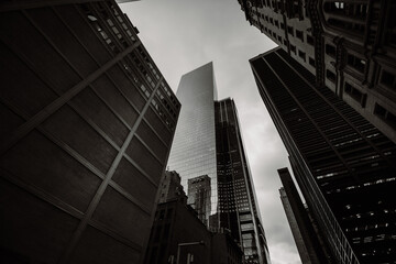Feel New York City