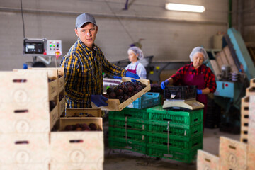Positive male farmer standing with wooden boxe full of organic plums at warehouse