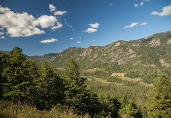 Fototapeta na wymiar Custer Gallatin National Forest, Montana