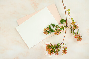 분홍색 대리석 바탕위에 식물과 카드 목업