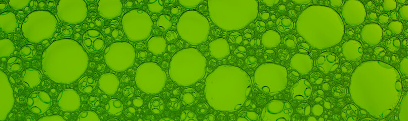 Green bubble banner, soap foam with green liquid. Close up of texture. Flat lay top view
