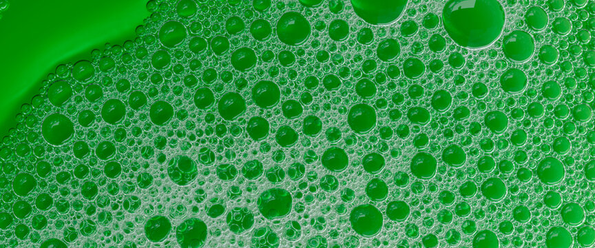 Tổng hợp 999 Background green bubble Hình nền xanh tinh tế, chất lượng HD