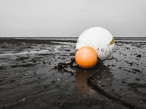 Two buoys of different colors lying on the mudflats at low tide.