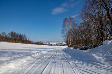 郊外の雪道と青空