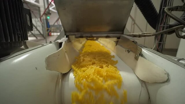 Modern factory conveyor moves raw spiral pasta at food facility to a packing department.