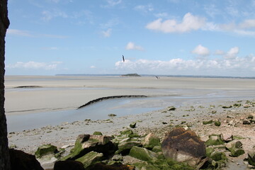Marée basse au Mont-Saint-Michel Manche France