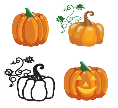 Set of 4 pumpkins in cartoon and doodle styles. Vector stock illustration isolated on white background.