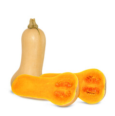 butternut squash slice isolated on white background