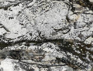 Volcanic pumice stone textures in Taupo New Zealand