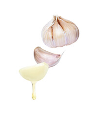 garlic oil drop dripping isolated on white background. 