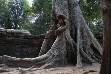 Obraz premium タ・プローム