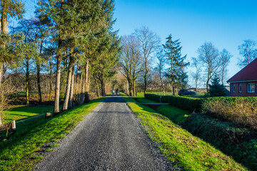 spring in the park