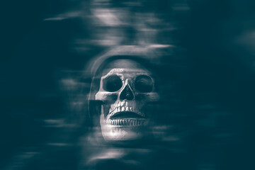 Skull on black background. Halloween concept.