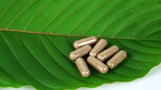  capsule on kratom leaf on white background,(Mitragyna speciosa) Drugs and Narcotics,Thai herbal which encourage health.