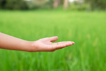 children empty hand on green nature background