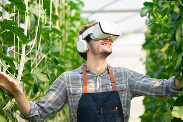 Concept of virtual reality, simulation farm.The farmer is checking the quality of the melon at the melon farm.Smiling young handsome Caucasian male farmer in apron holding and checking the quality.