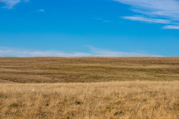 Fototapeta premium a landscape with a field of dry grass and blue sky