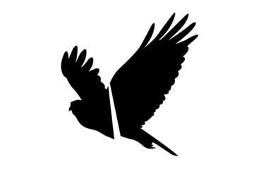 Failure illustration symbol. Defeat ceoncept represented by a bird silhouette sliced in pieces. Black and white icon.
