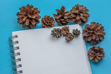 Christmas background with pine cones, notepad and pen. Space for text. A flat surface with a clean notepad and pine cones located on a blue surface.