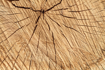 Wooden surface