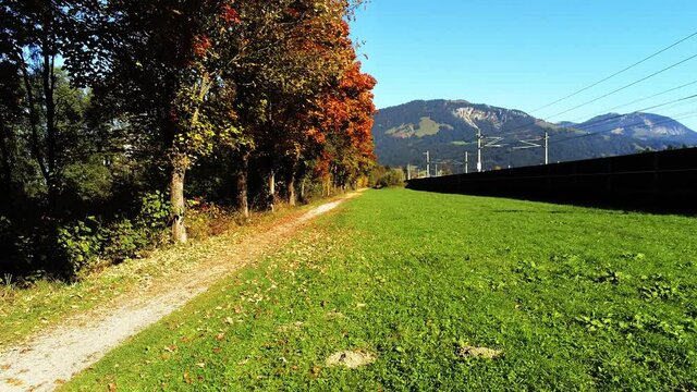 Autumn park