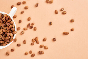 Coffee beans in coffee cup on pastel background. Space fot text