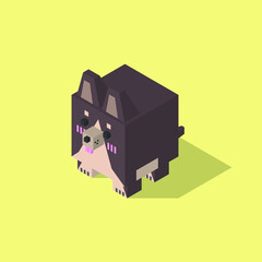 Chihuahua dog cubic isometric on yellow background