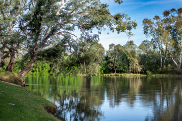 Tranquil reflections of eucalyptus gum trees in Murray River which forms state border between...