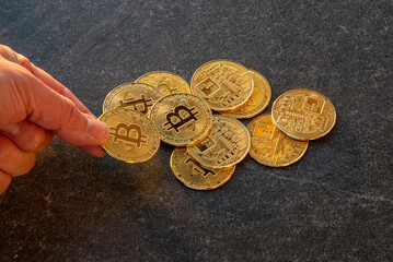 Hand holding bitcoin coins