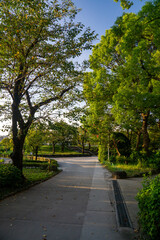 朝の隅田公園　秋　散歩コース