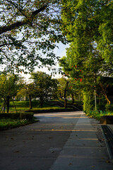 朝の隅田公園　秋　散歩コース