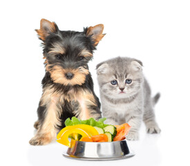 Hungry Yorkshire Terrier puppy and kitten sit together with bowl of vegetables. Isolated on white background