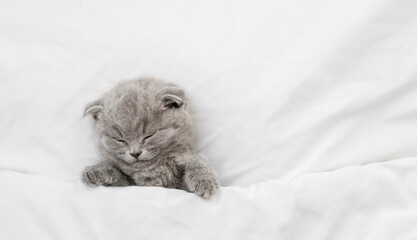 Cozy tiny kitten sleeps under white warm blanket on a bed at home. Top down view. Empty space for...