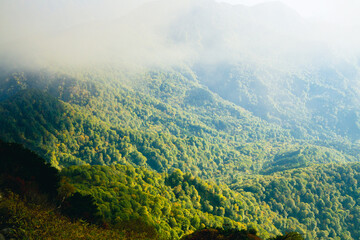 山岳風景　風光明媚　光と霧の森