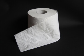 Toilettenpapier, Klopapier, Alltag, Haushalt, Krise; Grundversorgung, Gesundheit, Darm