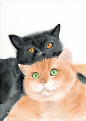 Fototapeta premium Watercolor illustration of two funny fluffy cats lying on top of each other, a black cat with amber eyes and a ginger cat with green eyes