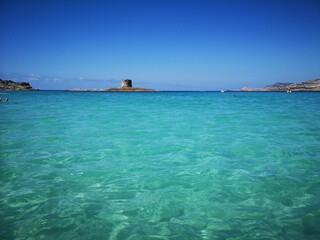 Fototapeta premium La Pelosa Strand Sardinien