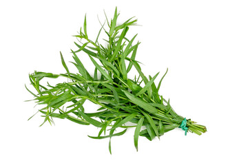 Bunch of tarragon isolated on a white background