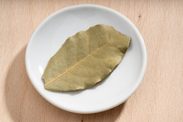 Detailed and large close up shot of a bayleaf on a small plate