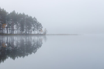 Beautiful forest lake in the early autumn foggy morning.