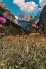 Three Peaks (Tre Cime di Lavaredo), Dolomites, South Tyrol, Italy