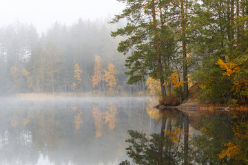 Beautiful forest lake in the early autumn foggy morning.