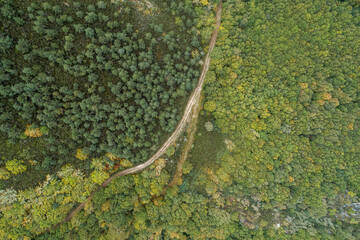 Overhead drone aerial view of a mountain area with a path through oak and pine forests. Ecology concept.