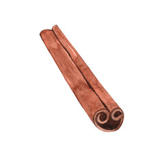 Watercolor drawing cinnamon isolated on white background. Ingredient for drinks and desserts. Spice.