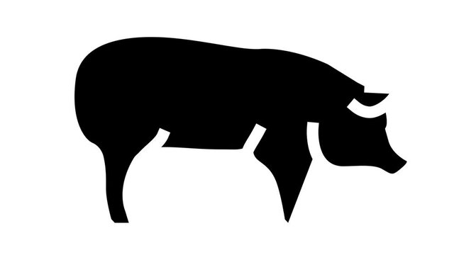 pig domestic animal animated glyph icon. pig domestic animal sign. isolated on white background