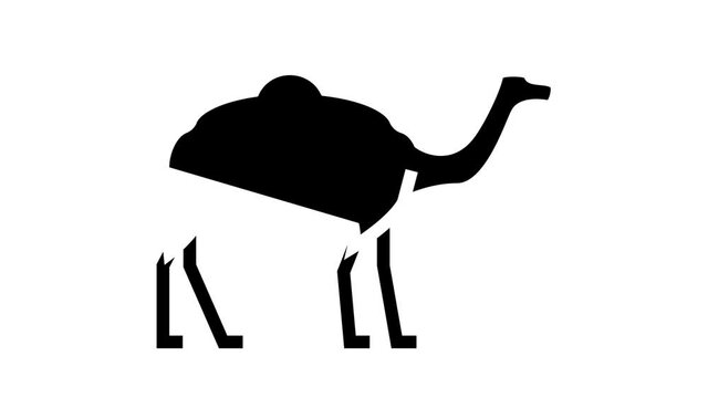 camel animal animated glyph icon. camel animal sign. isolated on white background
