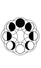 Moon Phases Vector