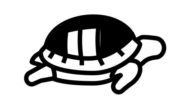 turtle pet animated line icon. turtle pet sign. isolated on white background